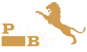 primebizsa.com